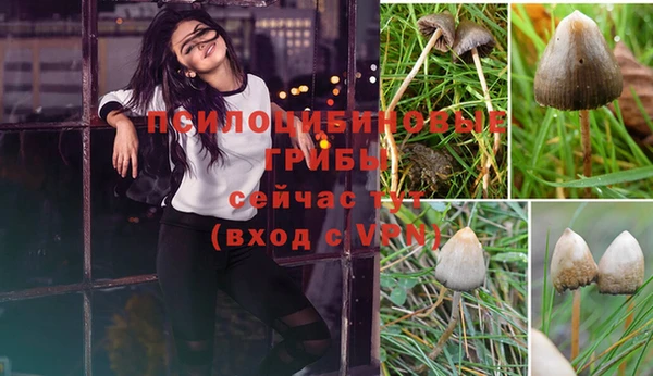 ГАЛЛЮЦИНОГЕННЫЕ ГРИБЫ Алексеевка