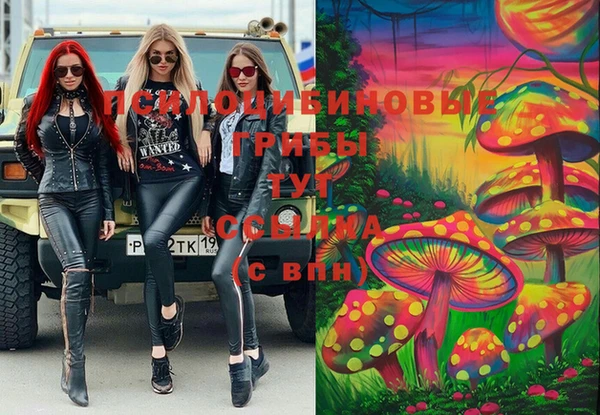 не бодяженный Абаза
