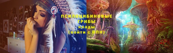 синтетический гашиш Алексин