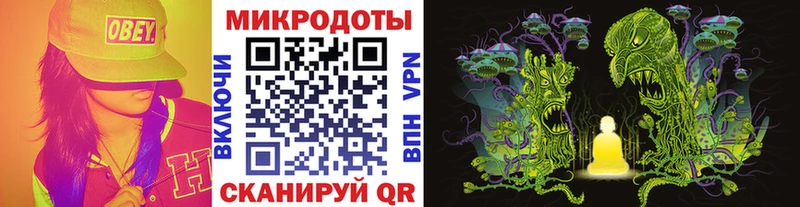 закладки Пучеж Галлюциногенные грибы Psilocybine cubensis